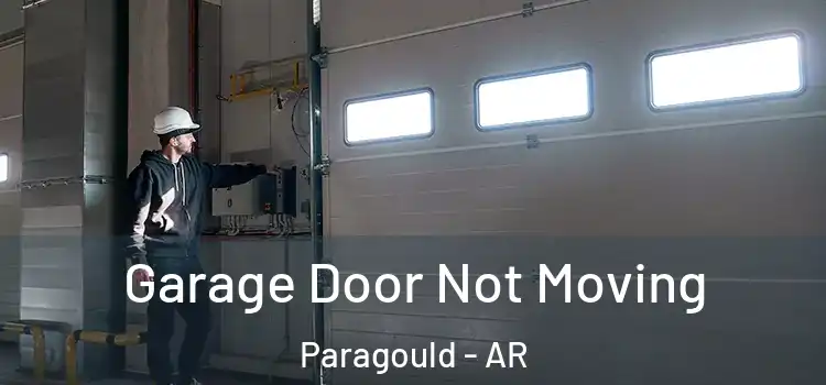  Garage Door Not Moving Paragould - AR