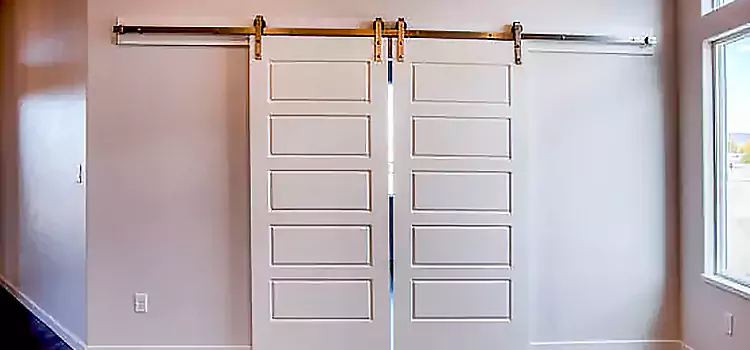 Glass Barn Door with Installation Hardware Kit Paragould