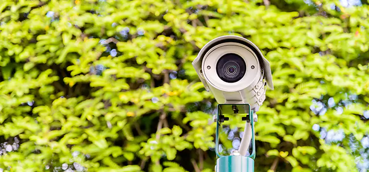 Advanced Surveillance Solutions for Every Need in Paragould